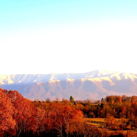 Meet your Posher, Jackie - Picture 3 of 10